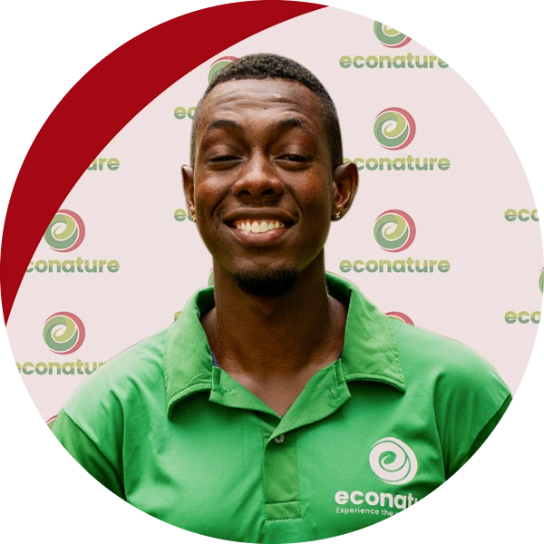 technician econature