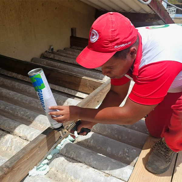 bird control econature