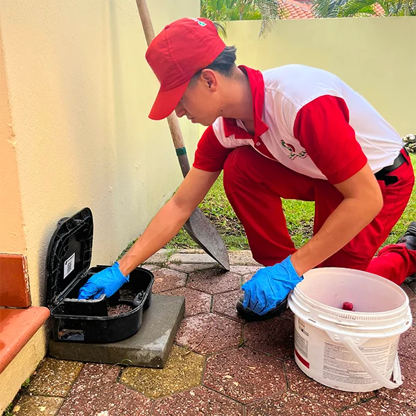 rodent control econature