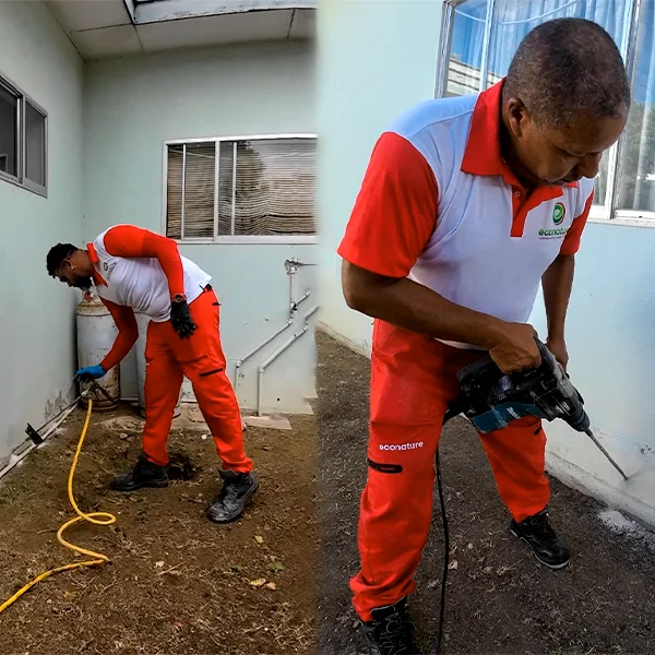 subterranean econature